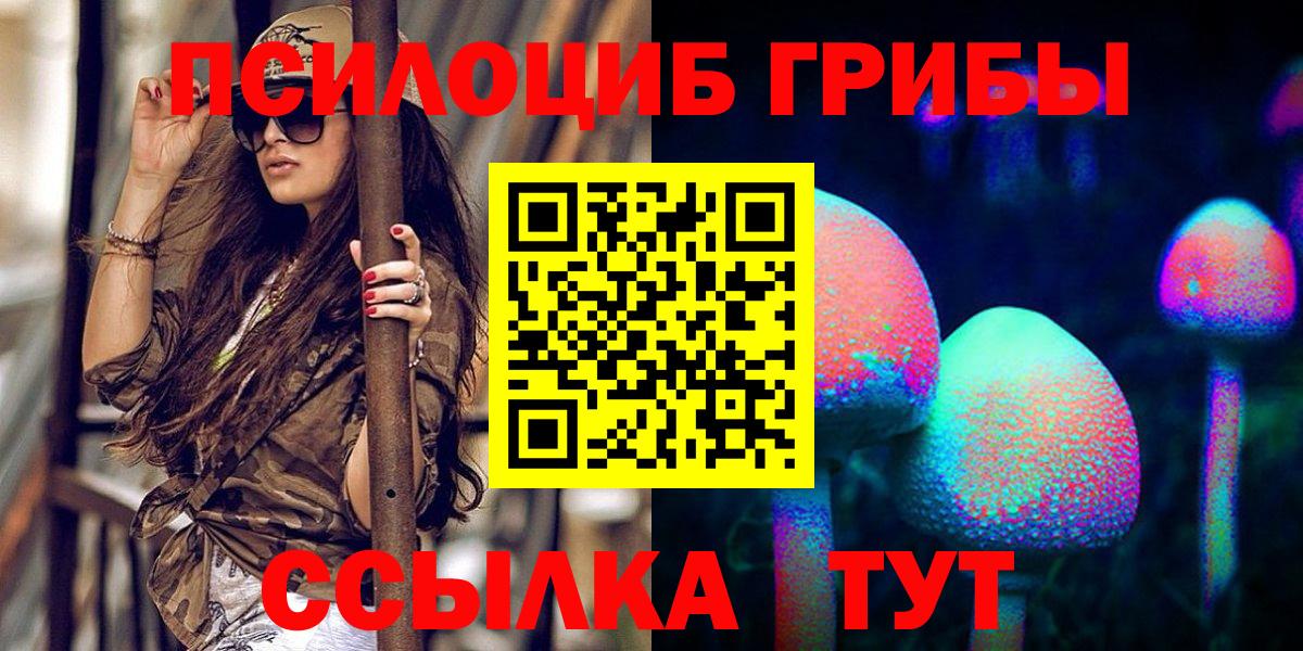 Галлюциногенные грибы Psilocybine cubensis  Галлюциногенные грибы прущие грибы  Серпухов  Вход с VPN 